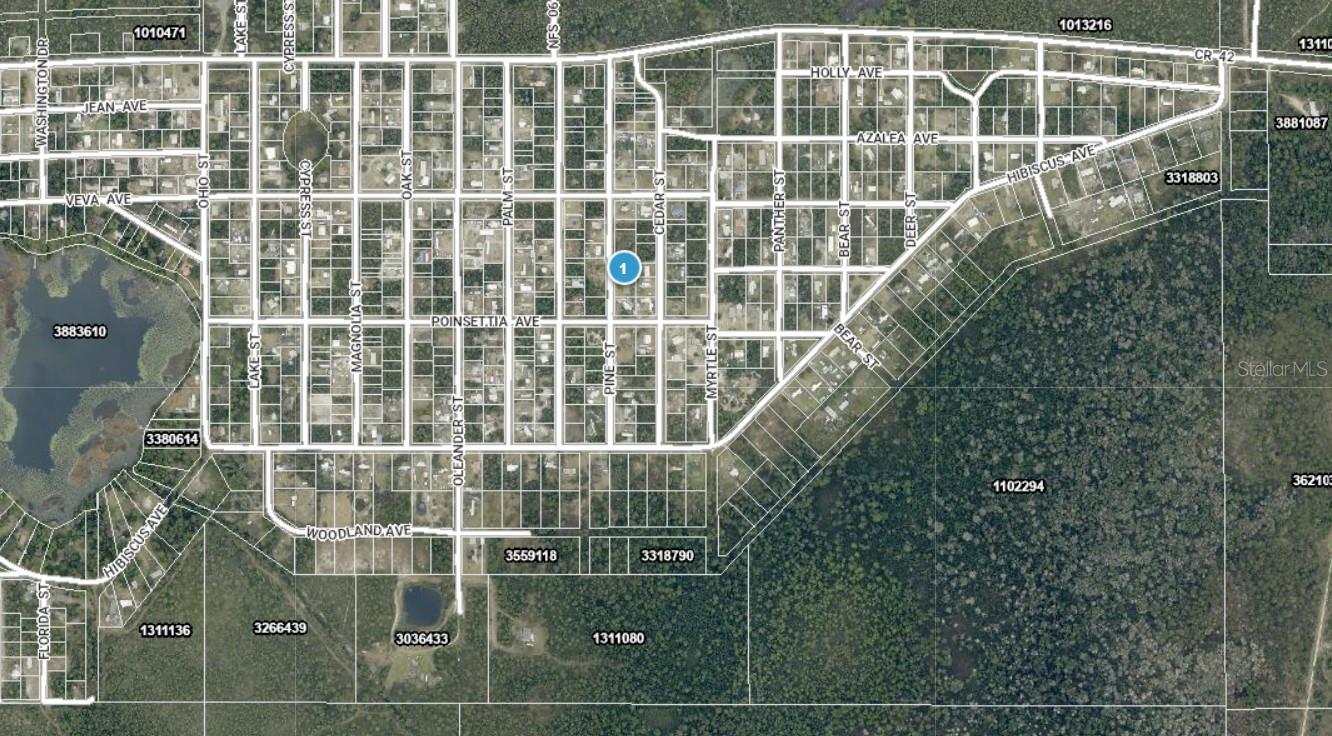 14-17-28-0200-009-01400 PINE ST, PAISLEY, FL, 32767
