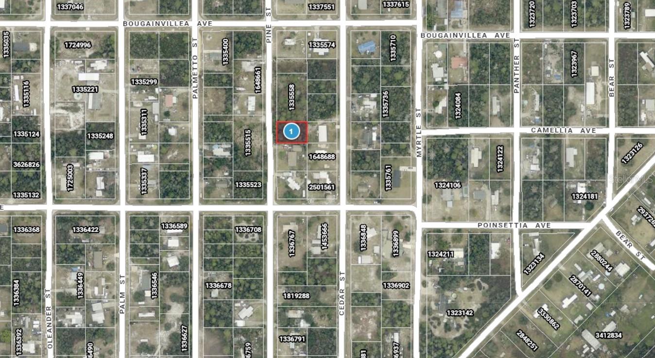 14-17-28-0200-009-01400 PINE ST, PAISLEY, FL, 32767