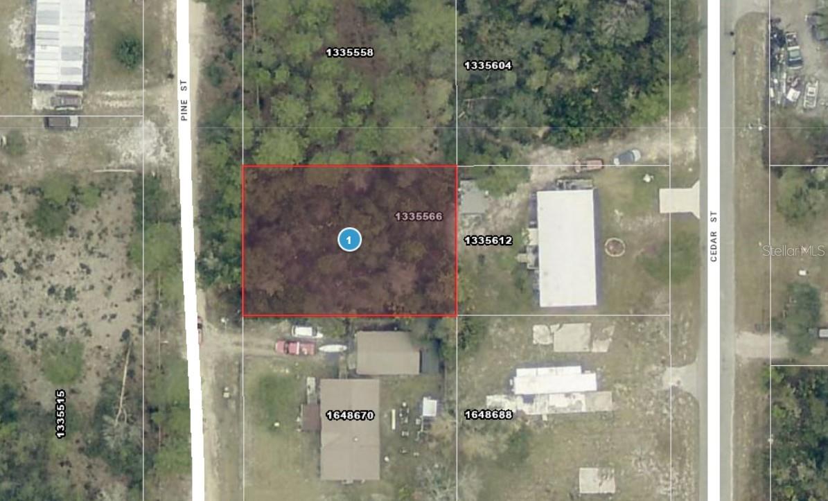 14-17-28-0200-009-01400 PINE ST, PAISLEY, FL, 32767