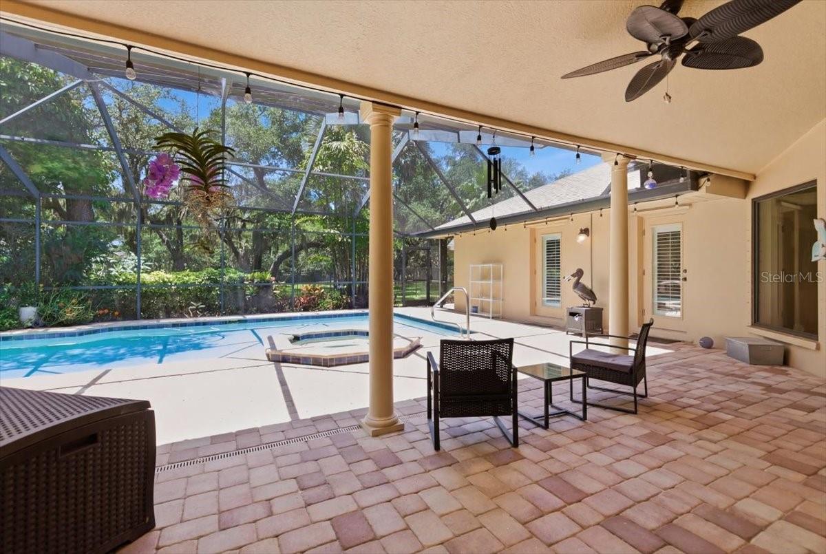 2716 COUNTRY WOODS LN, PALM HARBOR, FL, 34683