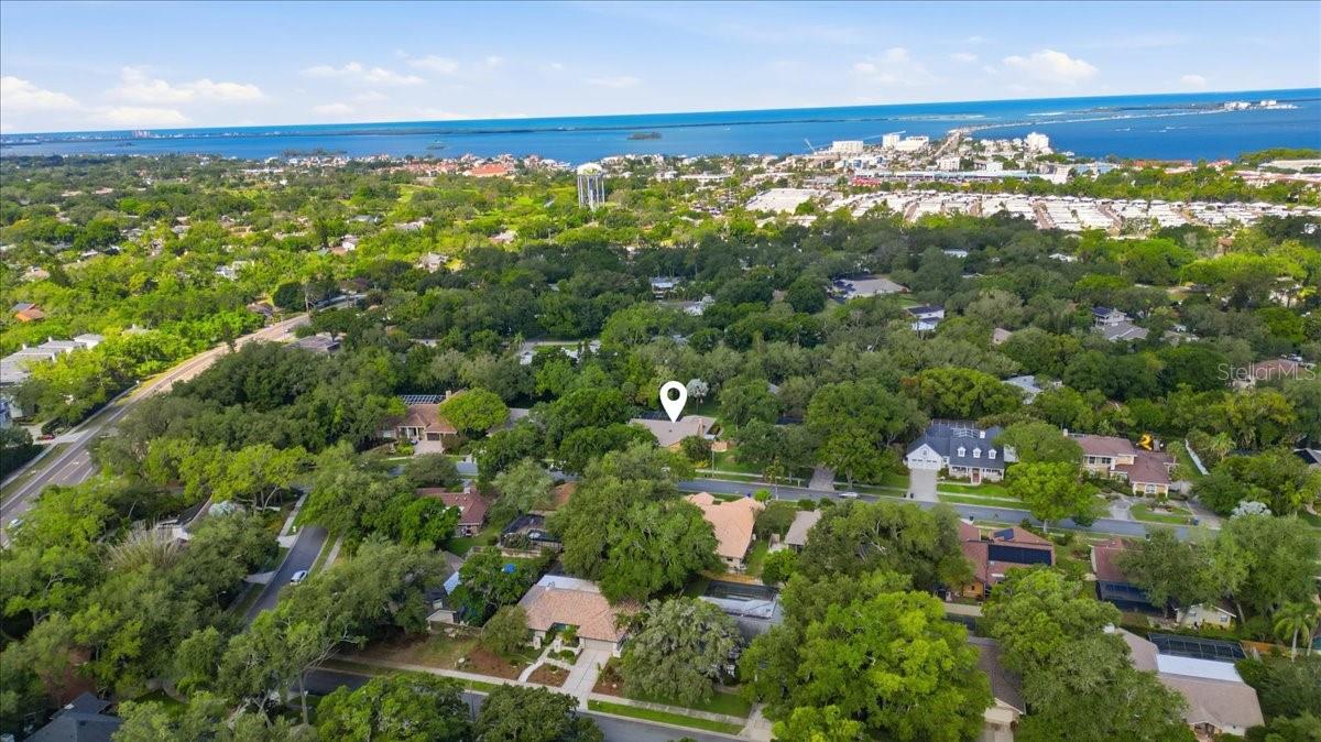 2716 COUNTRY WOODS LN, PALM HARBOR, FL, 34683