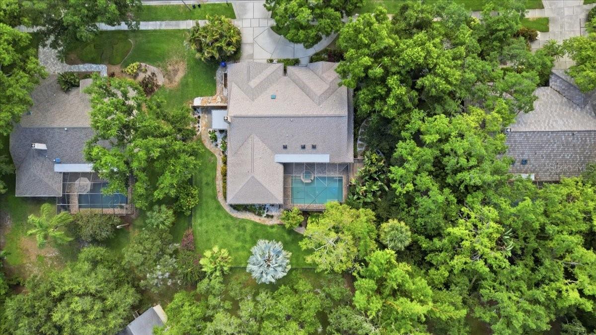 2716 COUNTRY WOODS LN, PALM HARBOR, FL, 34683