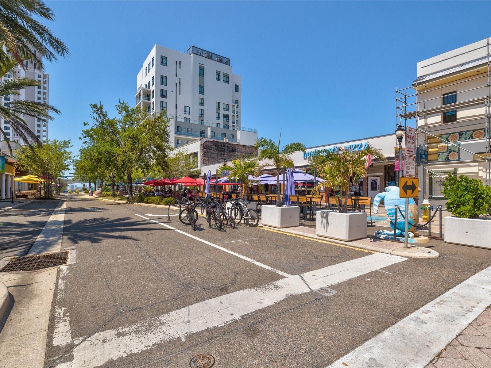 628 CLEVELAND ST #1011, CLEARWATER, FL, 33755
