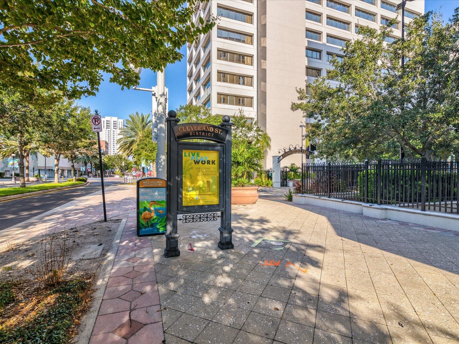 628 CLEVELAND ST #1011, CLEARWATER, FL, 33755