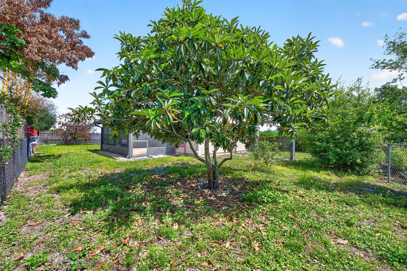 87 FLORIDA PKWY, KISSIMMEE, FL, 34743