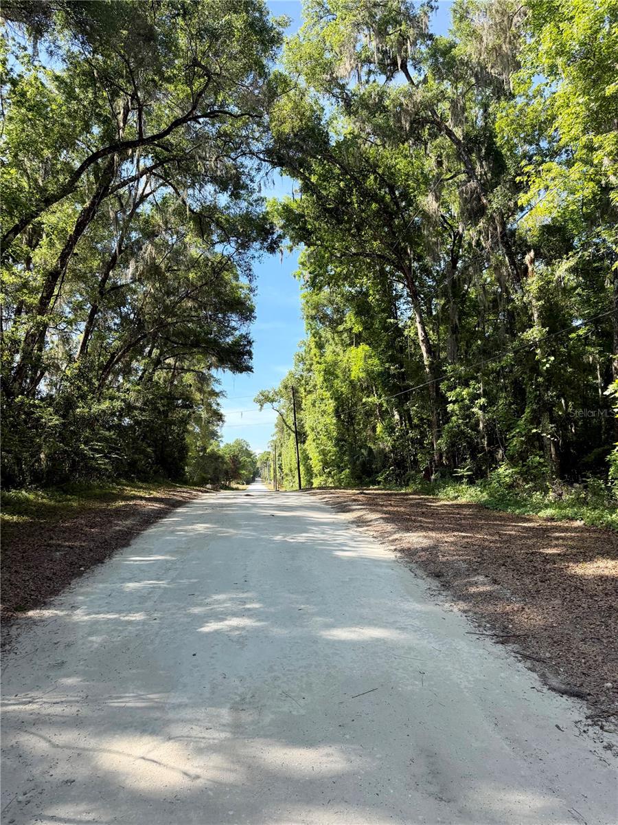 13650 NE 41 TER, ANTHONY, FL, 32617