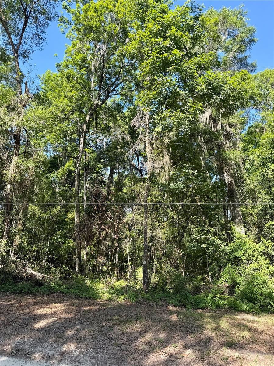 13650 NE 41 TER, ANTHONY, FL, 32617