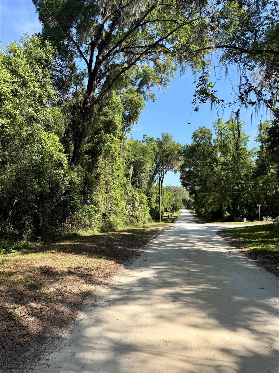 13650 NE 41 TER, ANTHONY, FL, 32617