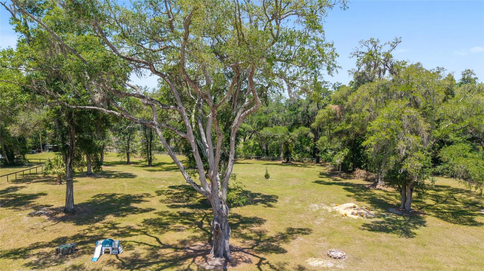 21561 SE 30 ST, WILLISTON, FL, 32696