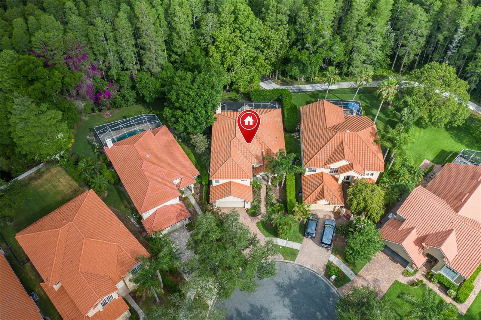 18814 PLACE ANTIBES, LUTZ, FL, 33558