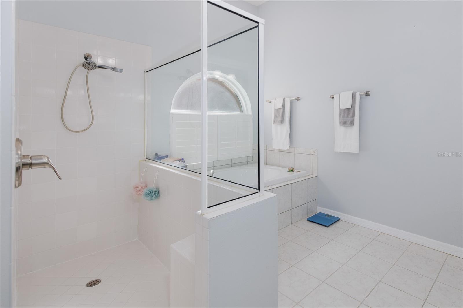 18814 PLACE ANTIBES, LUTZ, FL, 33558