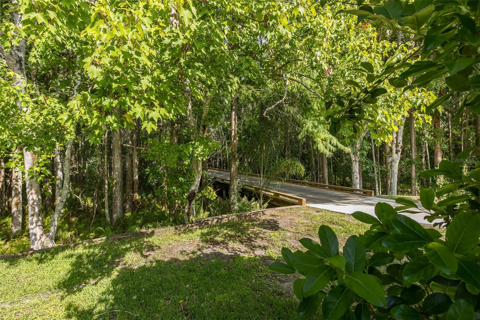 18814 PLACE ANTIBES, LUTZ, FL, 33558