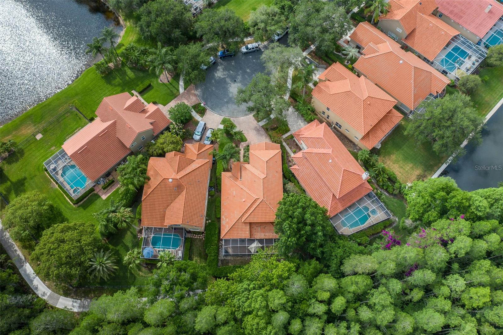18814 PLACE ANTIBES, LUTZ, FL, 33558