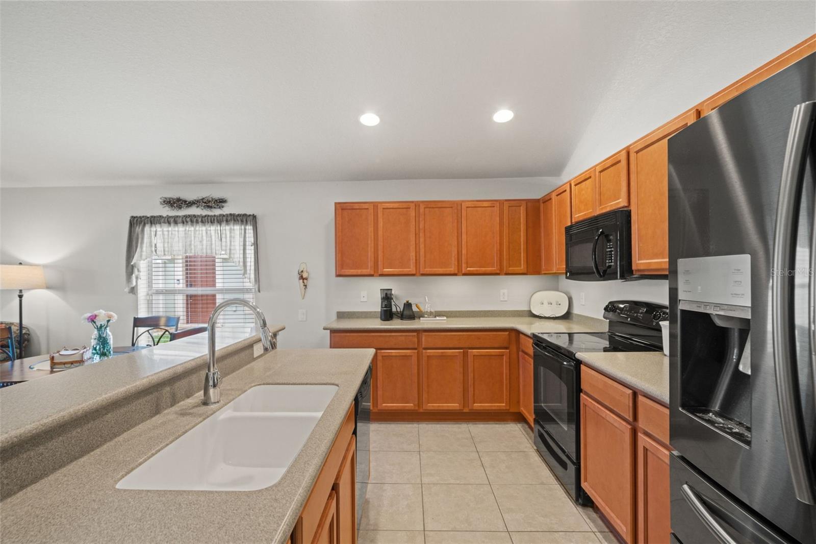 15585 LILY WOOD LN, BROOKSVILLE, FL, 34604