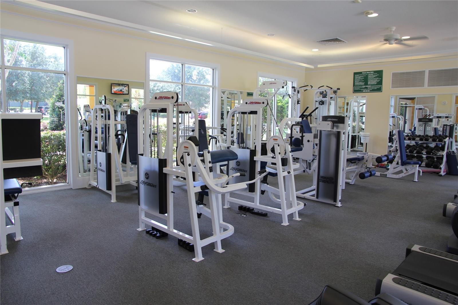 337 ORCHARD HILL ST, DELAND, FL, 32724