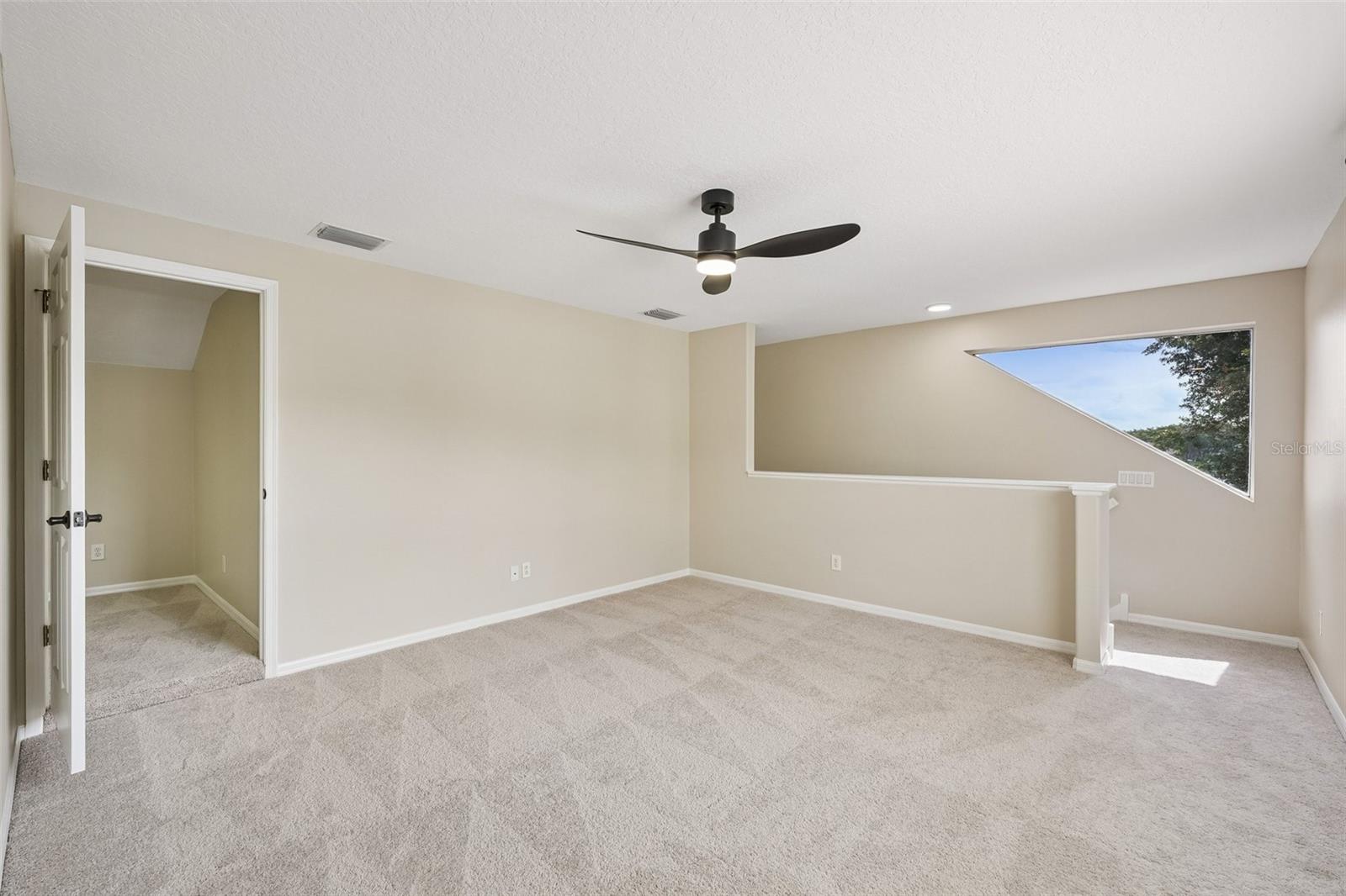 19117 MANDARIN GROVE PL, TAMPA, FL, 33647