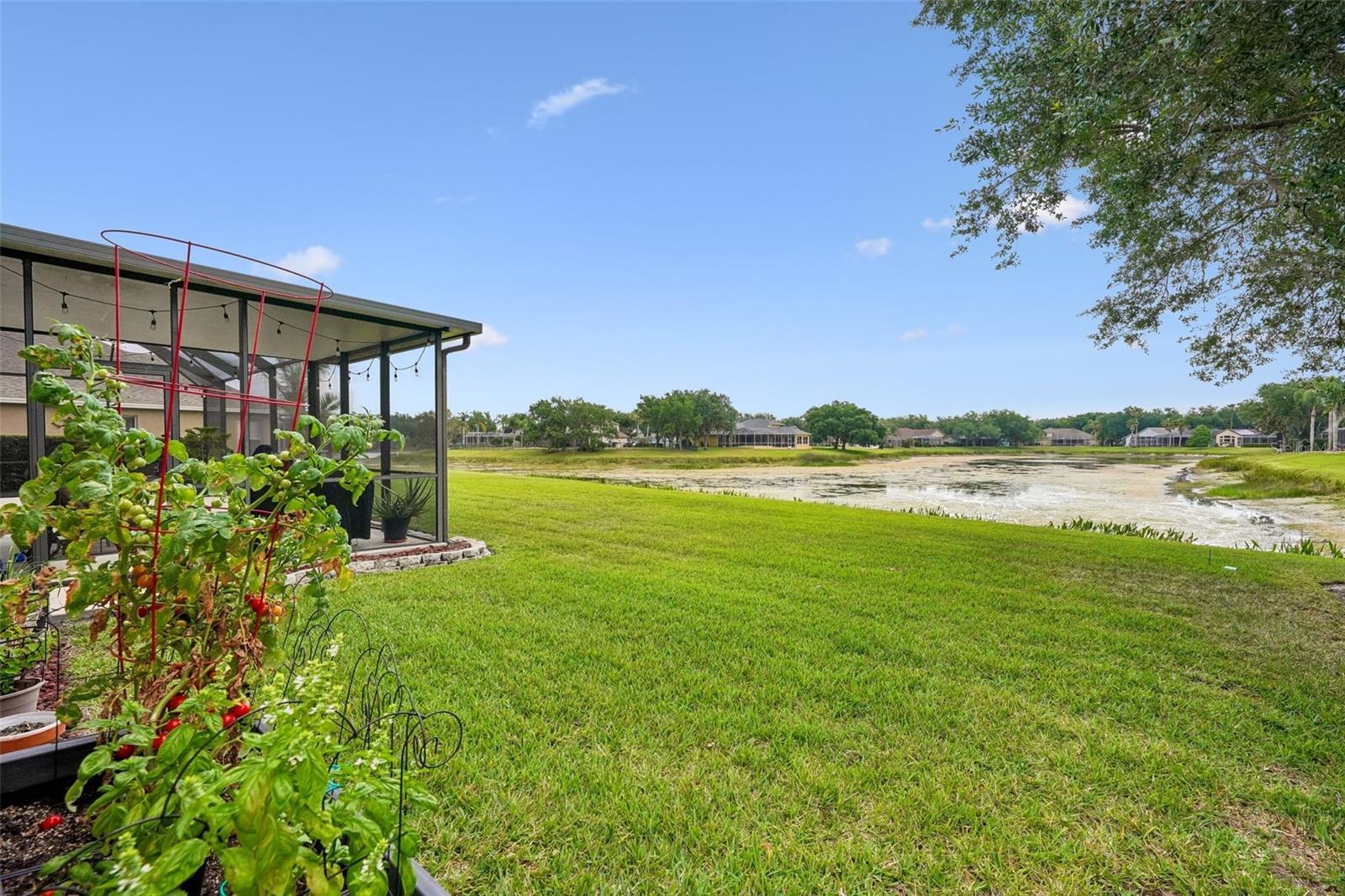 19117 MANDARIN GROVE PL, TAMPA, FL, 33647