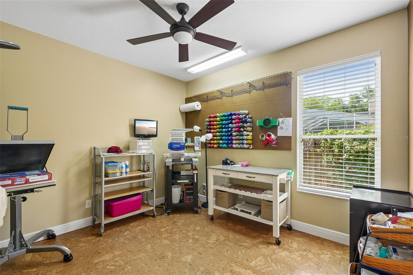 19117 MANDARIN GROVE PL, TAMPA, FL, 33647