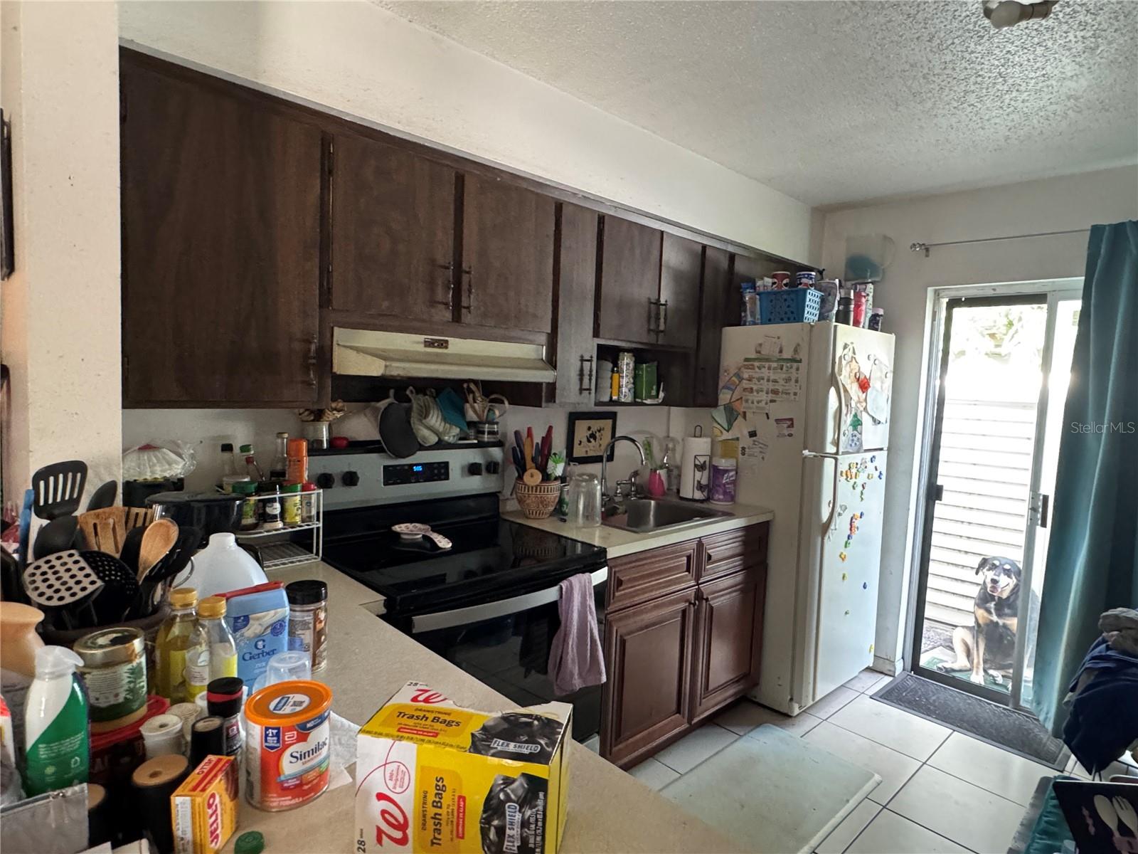 207 E BUCHANON AVE, ORLANDO, FL, 32809