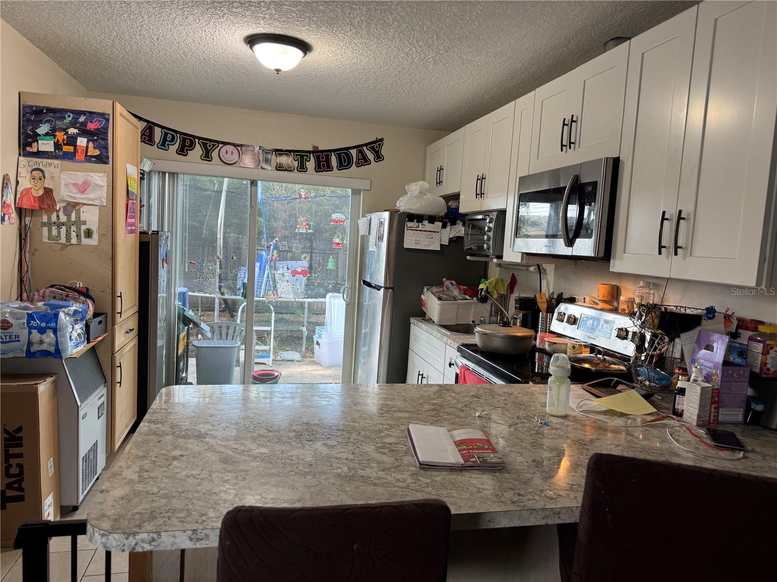 207 E BUCHANON AVE, ORLANDO, FL, 32809