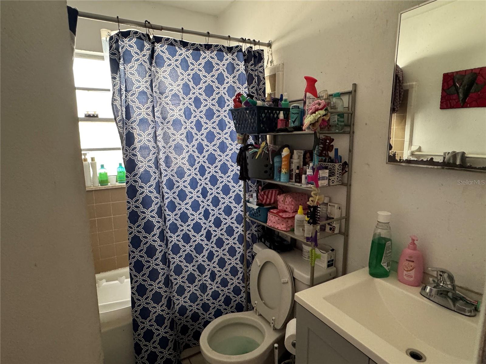 207 E BUCHANON AVE, ORLANDO, FL, 32809