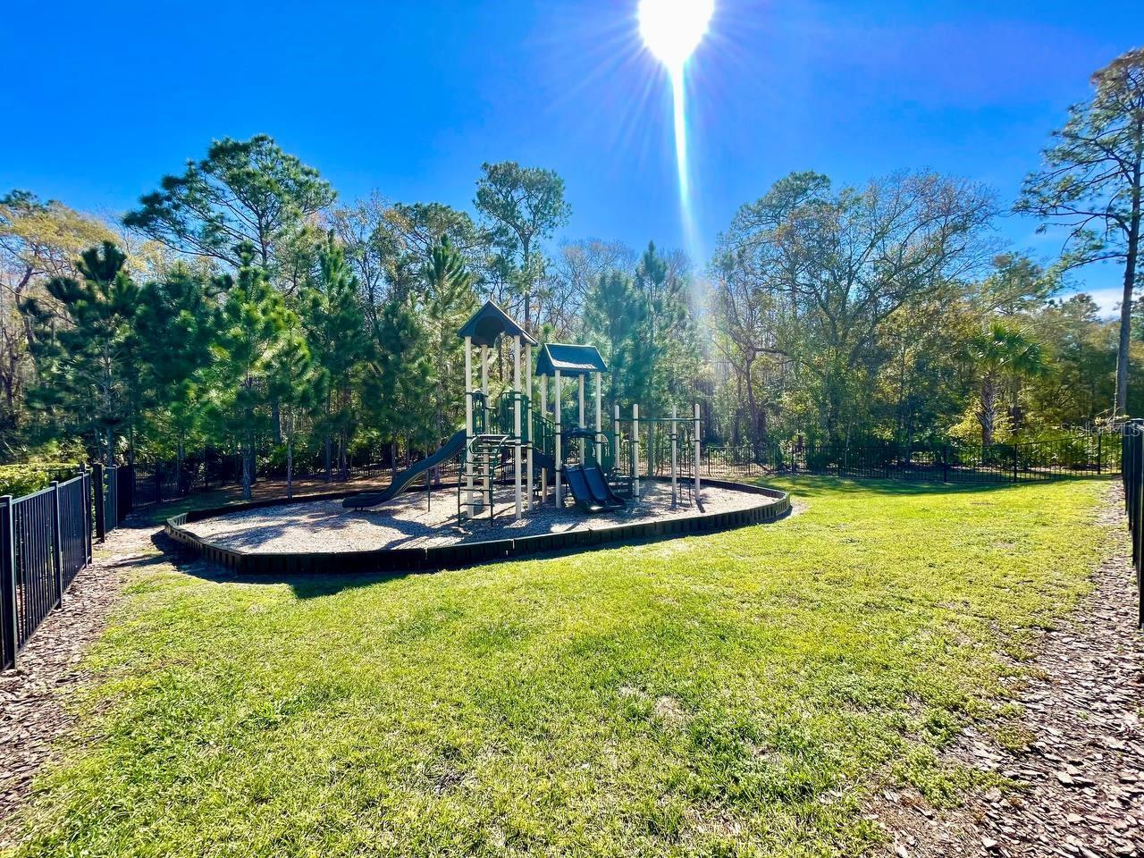1073 AMBER LEAF TRL, WESLEY CHAPEL, FL, 33544