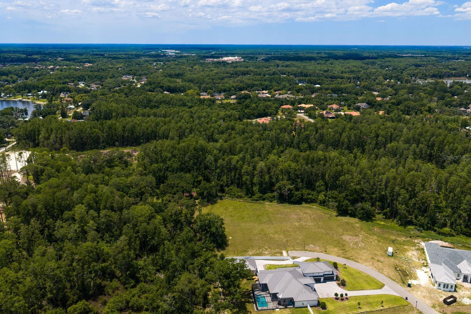 297 MAGNOLIA ACRES CT, LUTZ, FL, 33548
