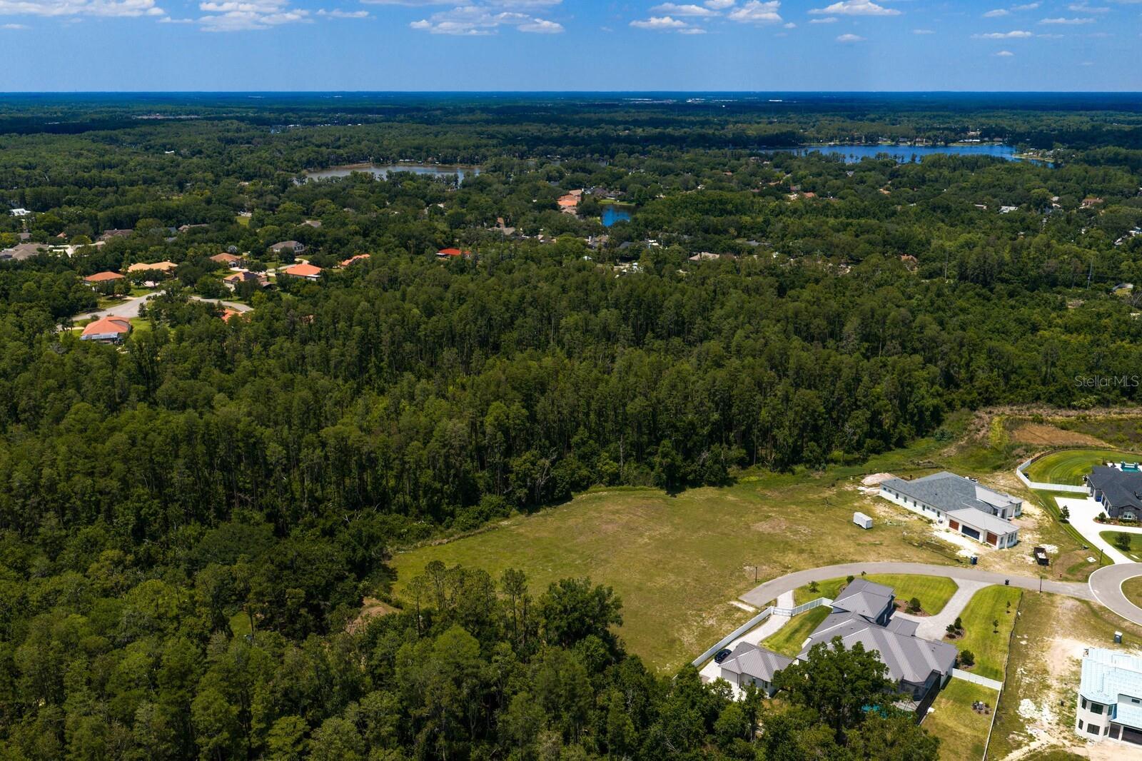 297 MAGNOLIA ACRES CT, LUTZ, FL, 33548