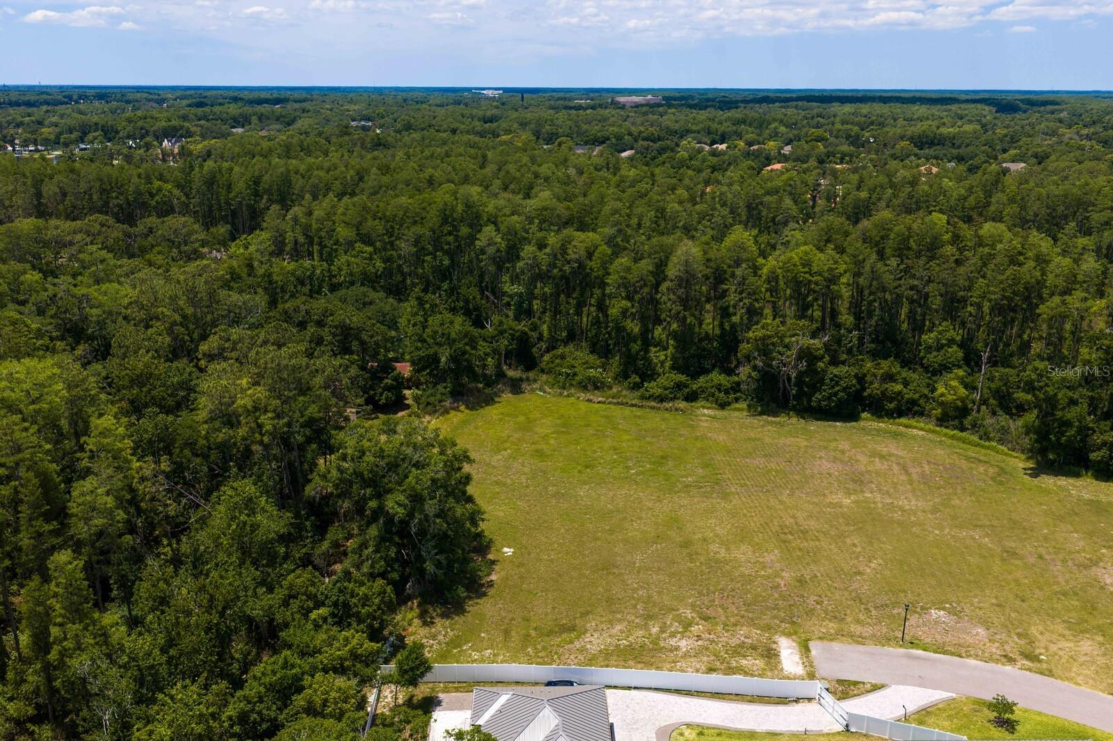 297 MAGNOLIA ACRES CT, LUTZ, FL, 33548