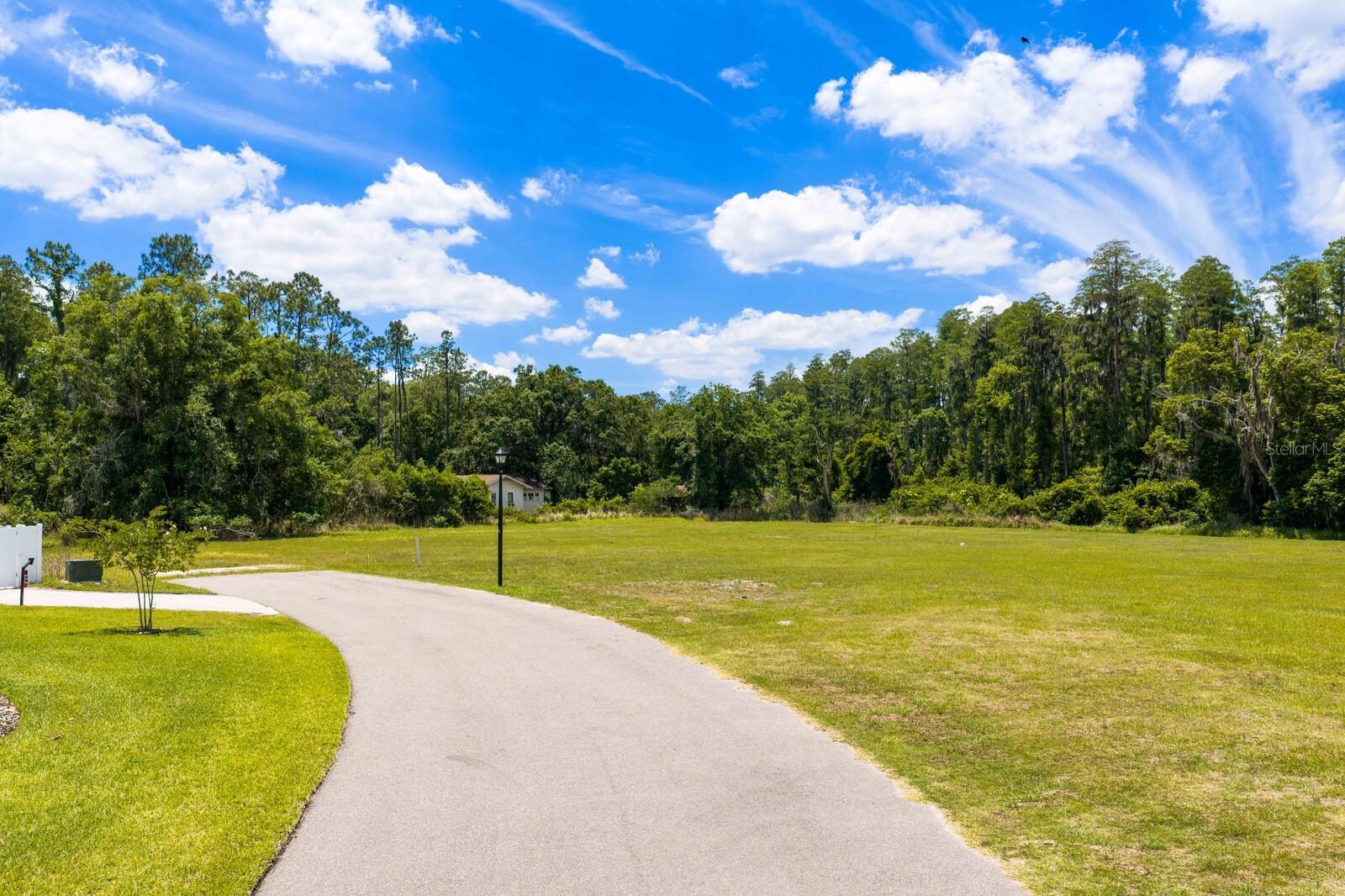297 MAGNOLIA ACRES CT, LUTZ, FL, 33548