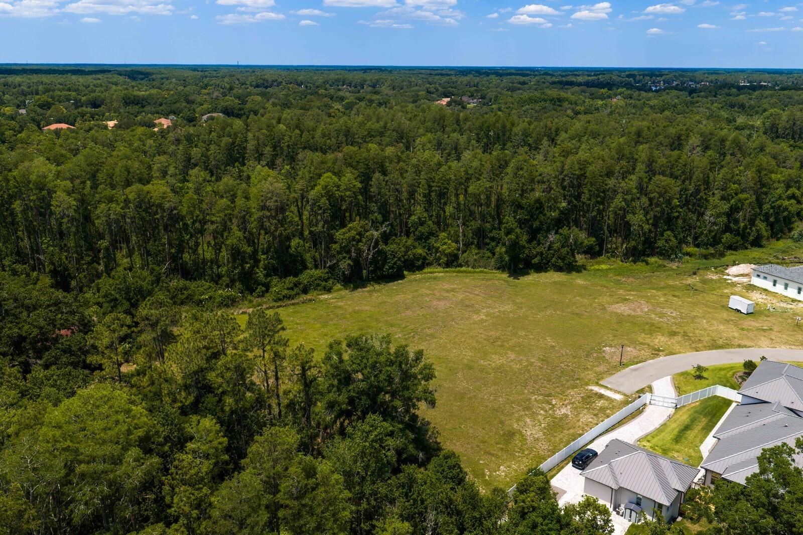 297 MAGNOLIA ACRES CT, LUTZ, FL, 33548