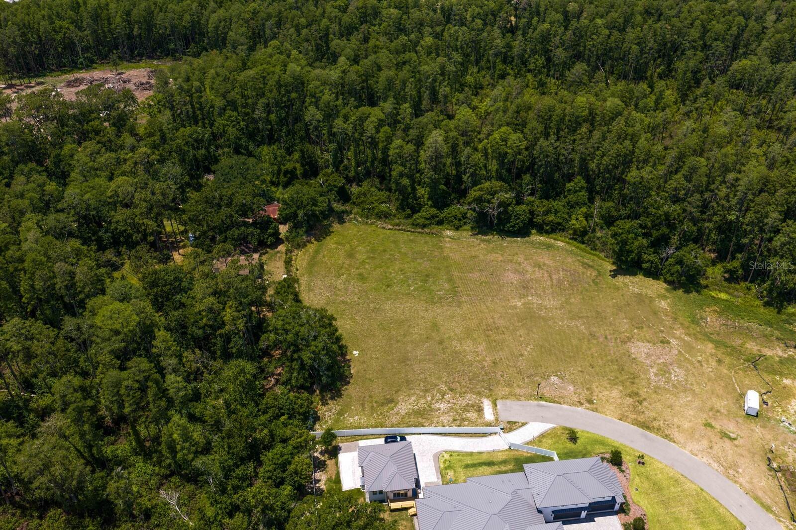 297 MAGNOLIA ACRES CT, LUTZ, FL, 33548