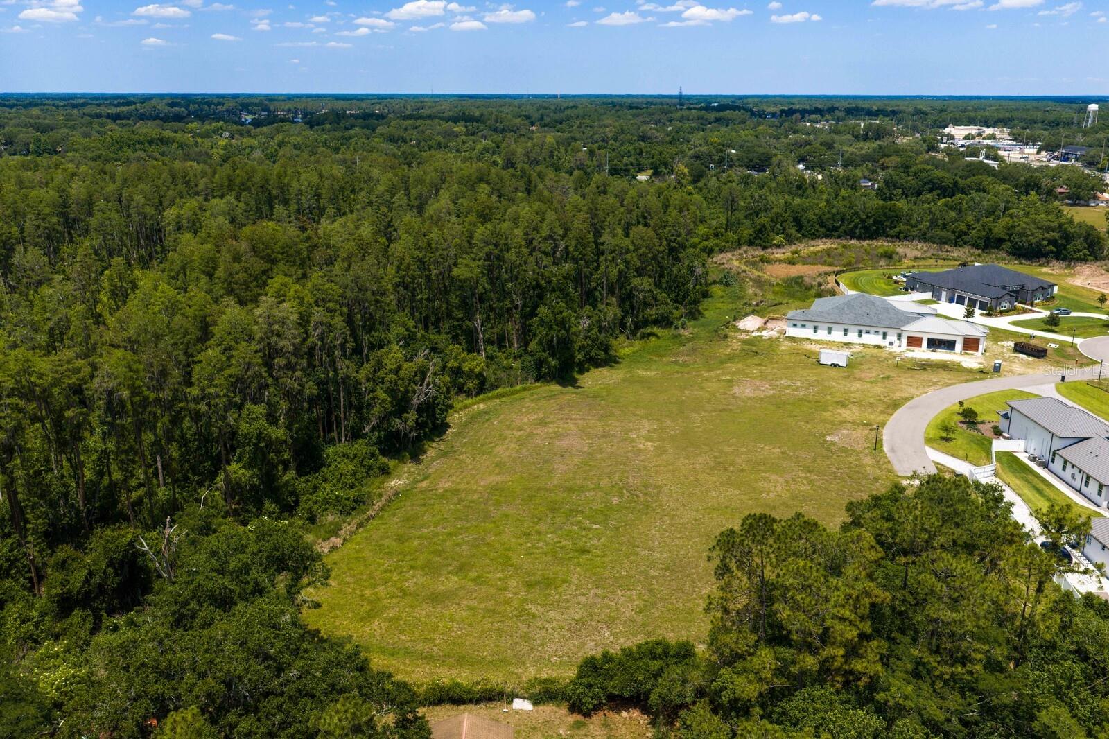 297 MAGNOLIA ACRES CT, LUTZ, FL, 33548