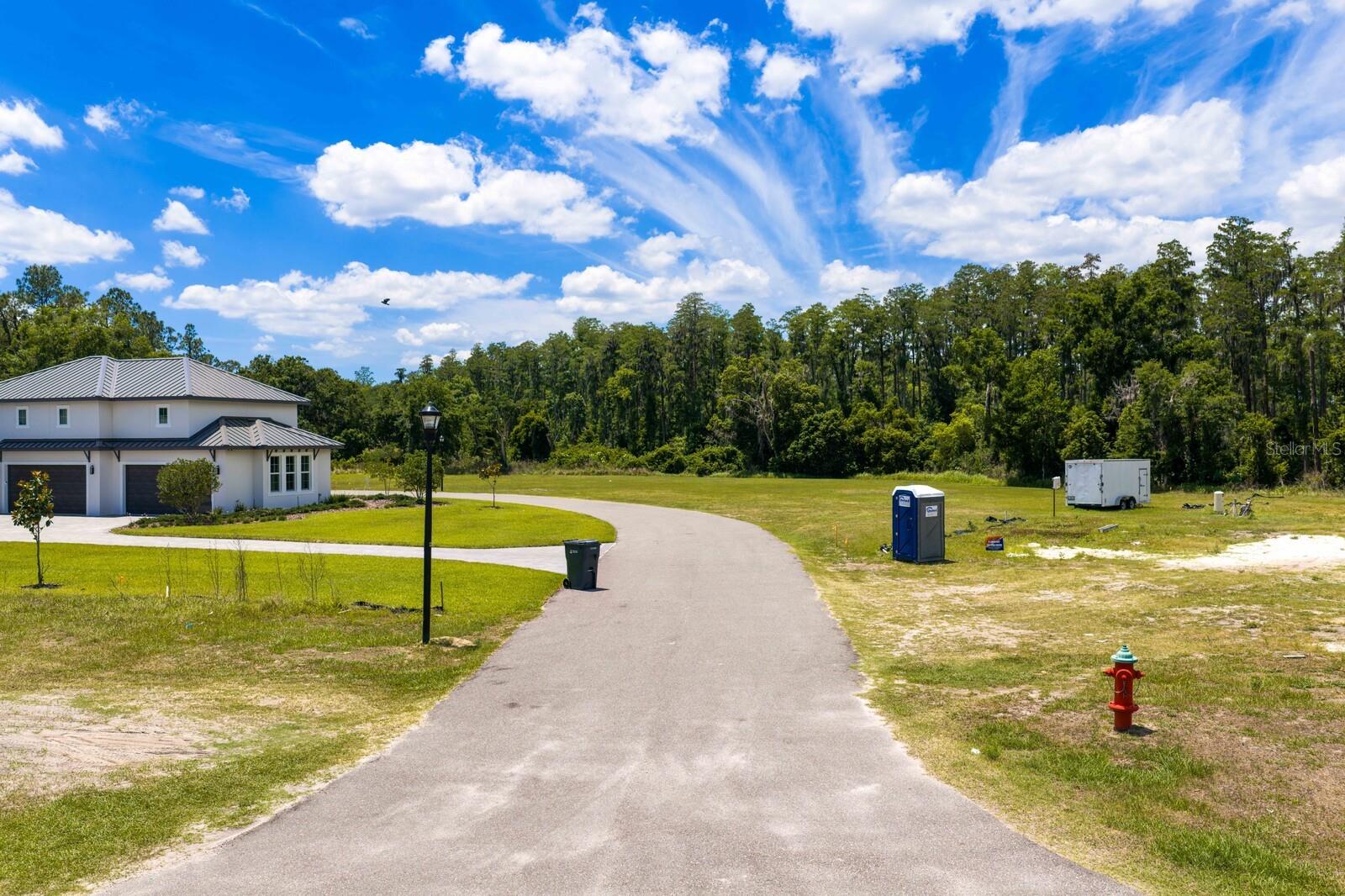 297 MAGNOLIA ACRES CT, LUTZ, FL, 33548
