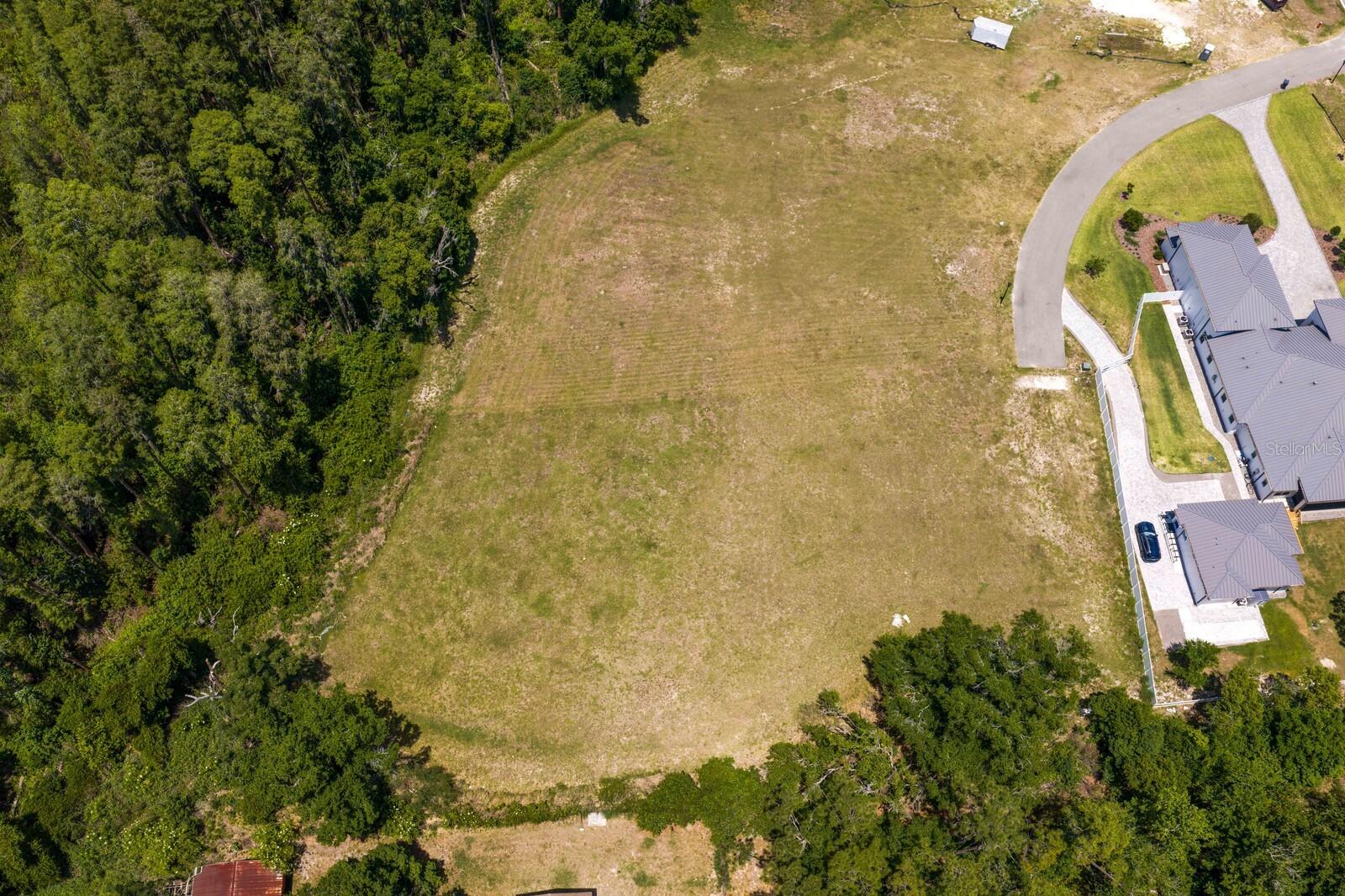 297 MAGNOLIA ACRES CT, LUTZ, FL, 33548
