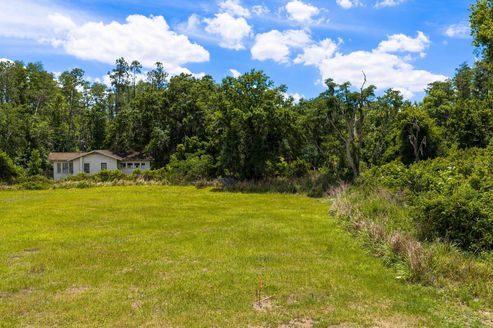297 MAGNOLIA ACRES CT, LUTZ, FL, 33548