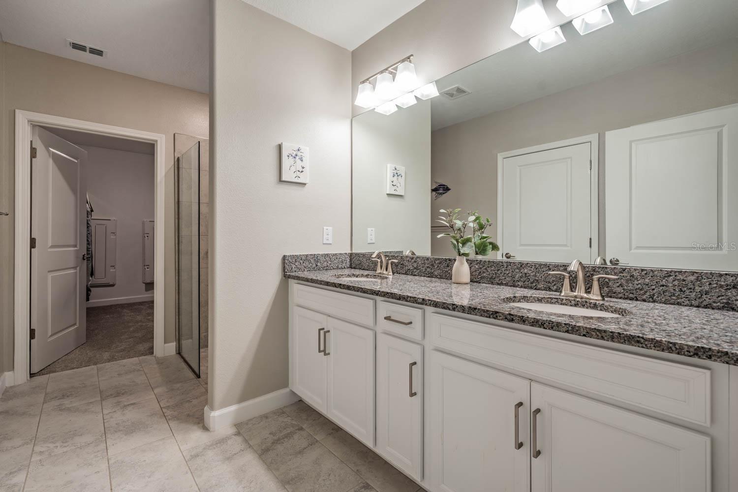 10246 ECHO DOCK LOOP, SAN ANTONIO, FL, 33576