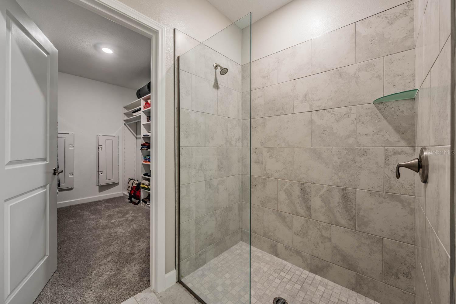 10246 ECHO DOCK LOOP, SAN ANTONIO, FL, 33576