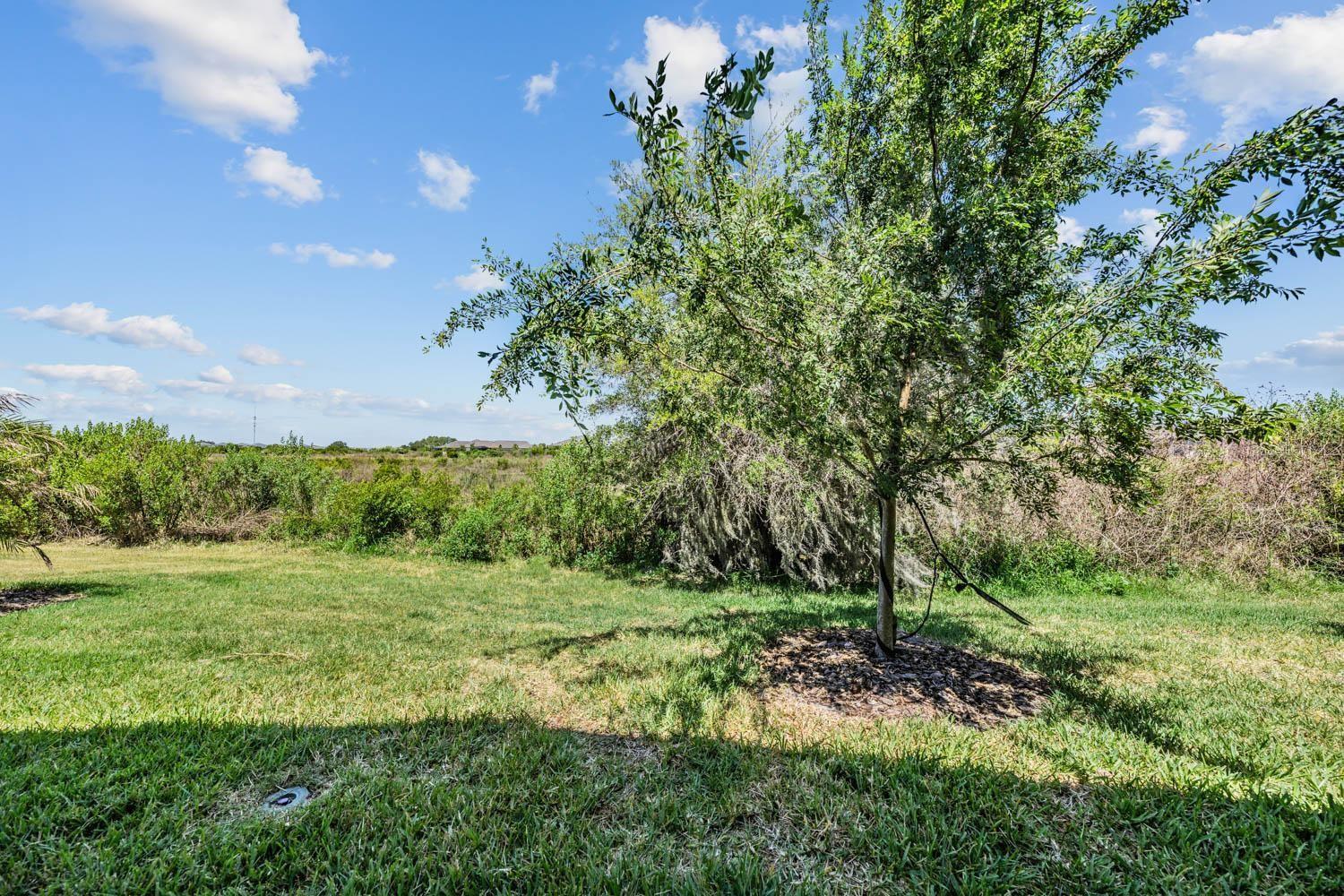 10246 ECHO DOCK LOOP, SAN ANTONIO, FL, 33576