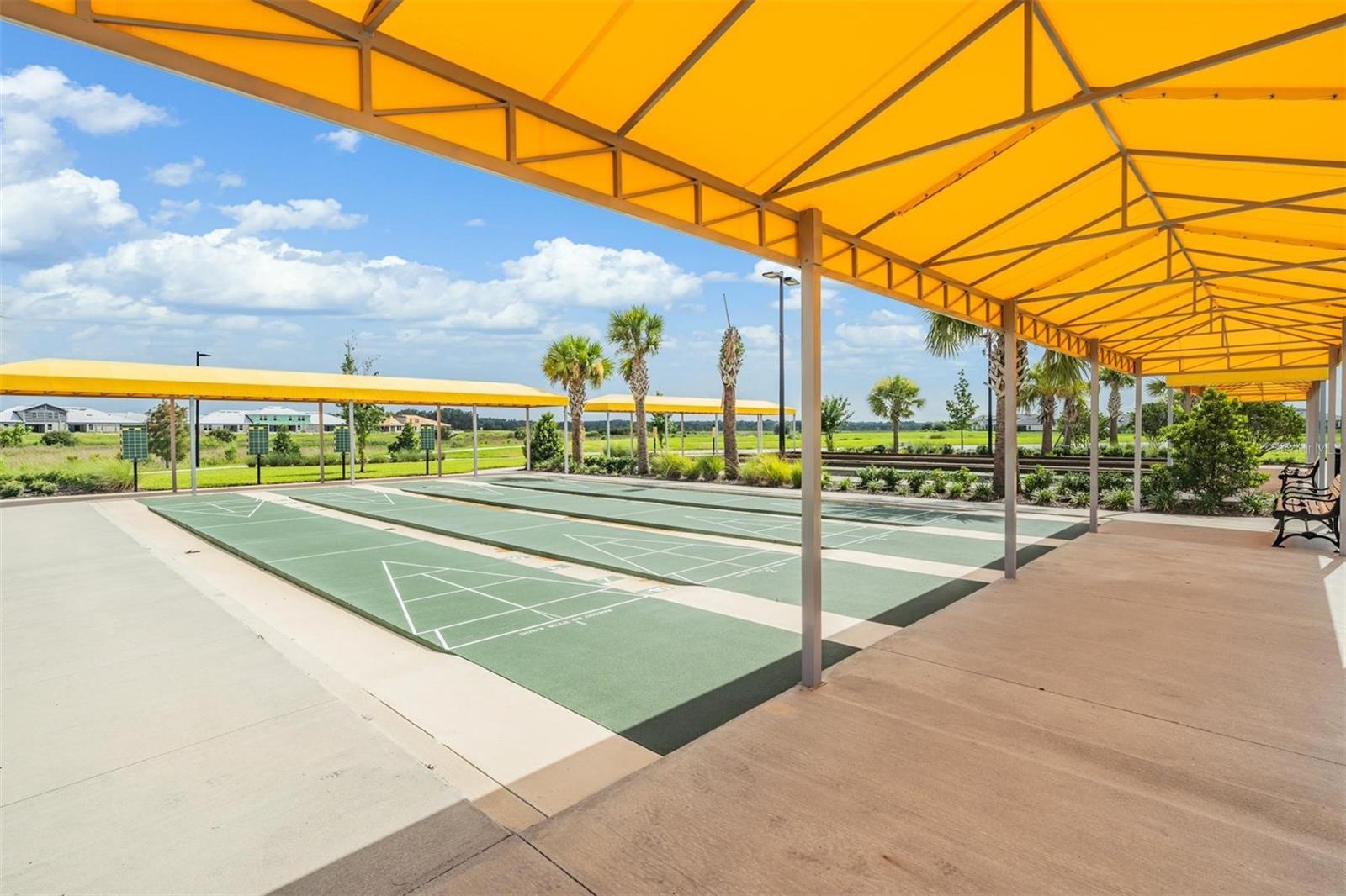 10246 ECHO DOCK LOOP, SAN ANTONIO, FL, 33576