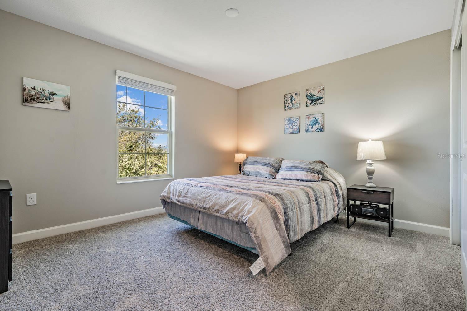 10246 ECHO DOCK LOOP, SAN ANTONIO, FL, 33576