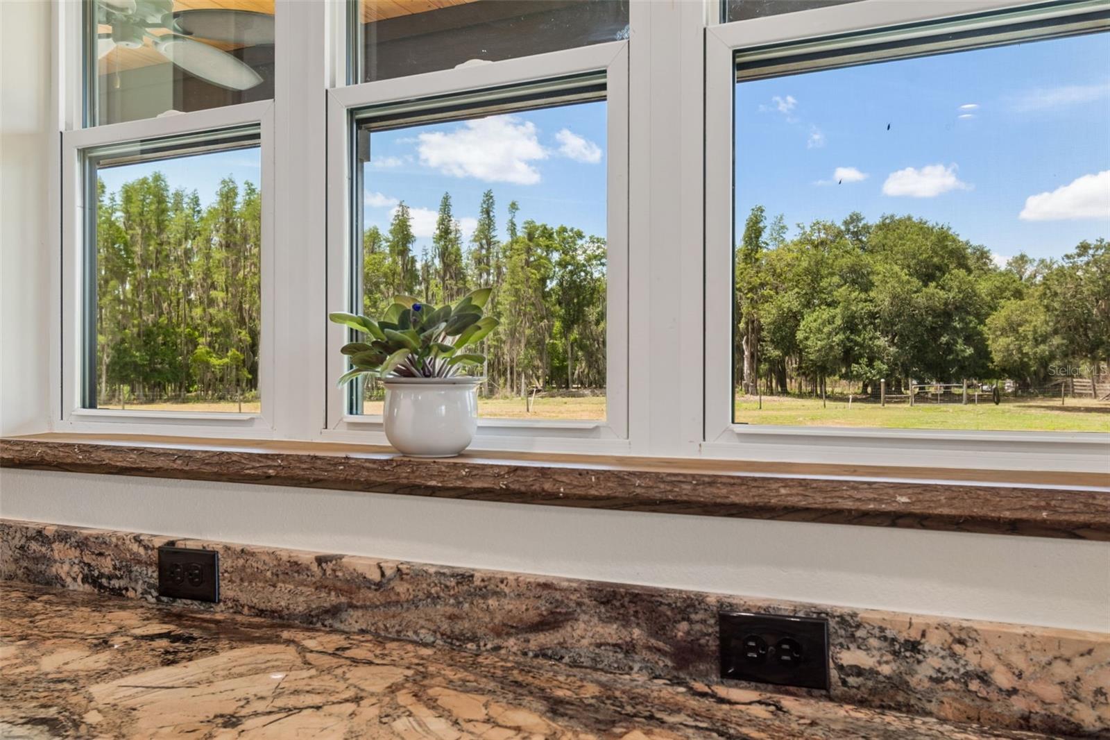 41451 NIPPER RD, ZEPHYRHILLS, FL, 33540