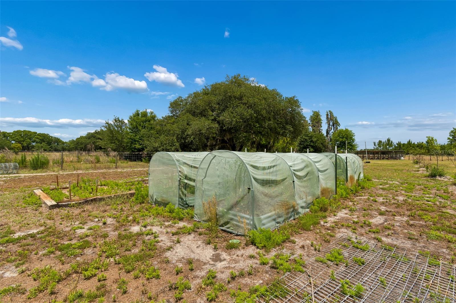 41451 NIPPER RD, ZEPHYRHILLS, FL, 33540