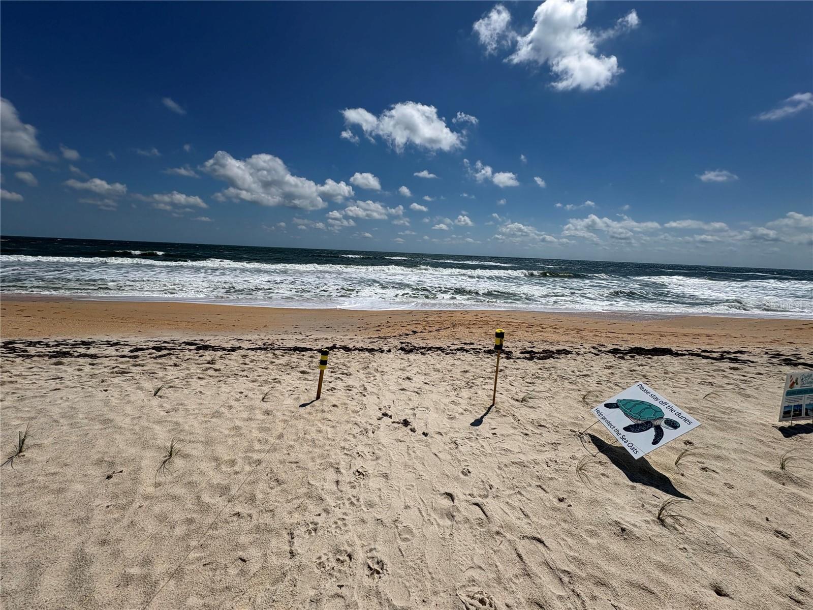 16 OCEANSIDE DR, PALM COAST, FL, 32137