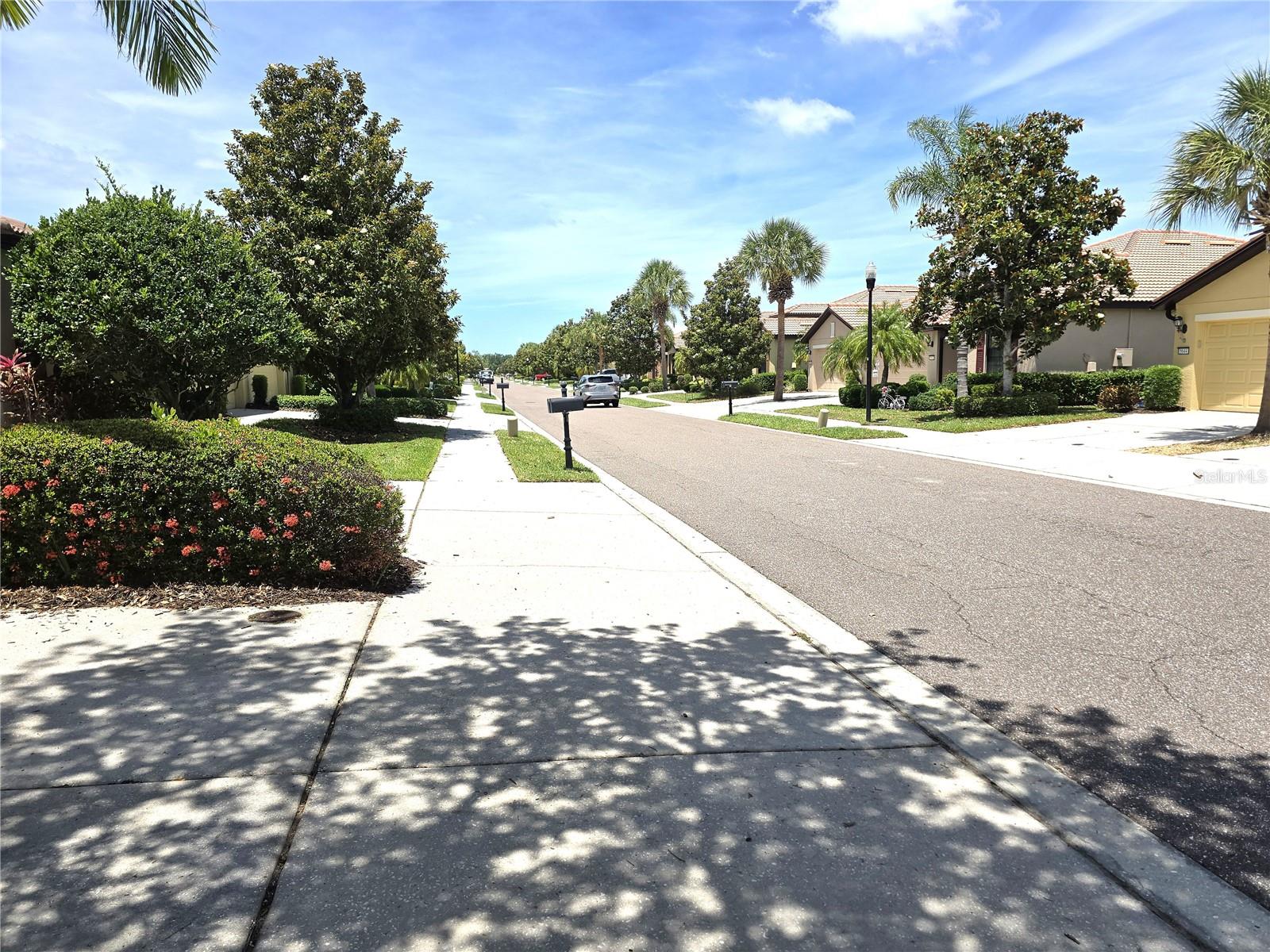5646 SUNSET FALLS DR, APOLLO BEACH, FL, 33572