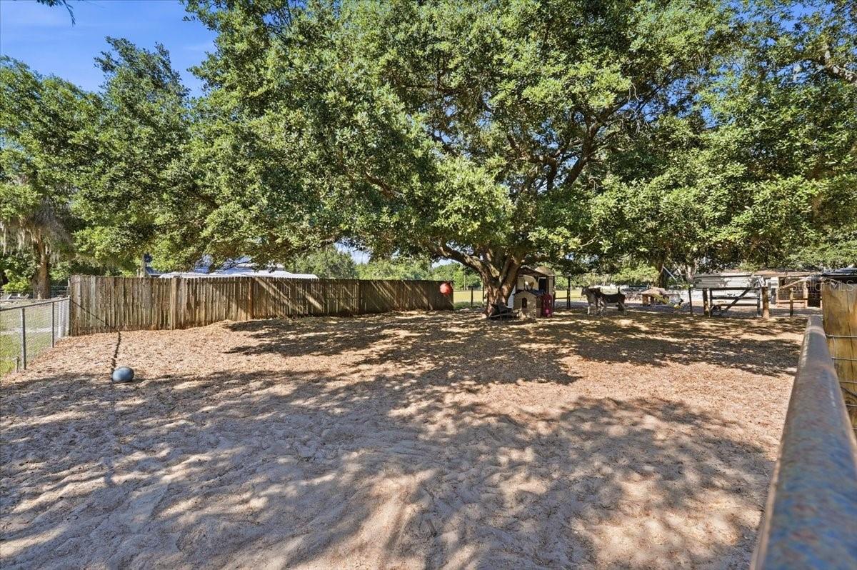 10049 QUINN RD, POLK CITY, FL, 33868