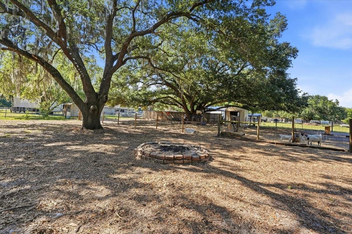 10049 QUINN RD, POLK CITY, FL, 33868