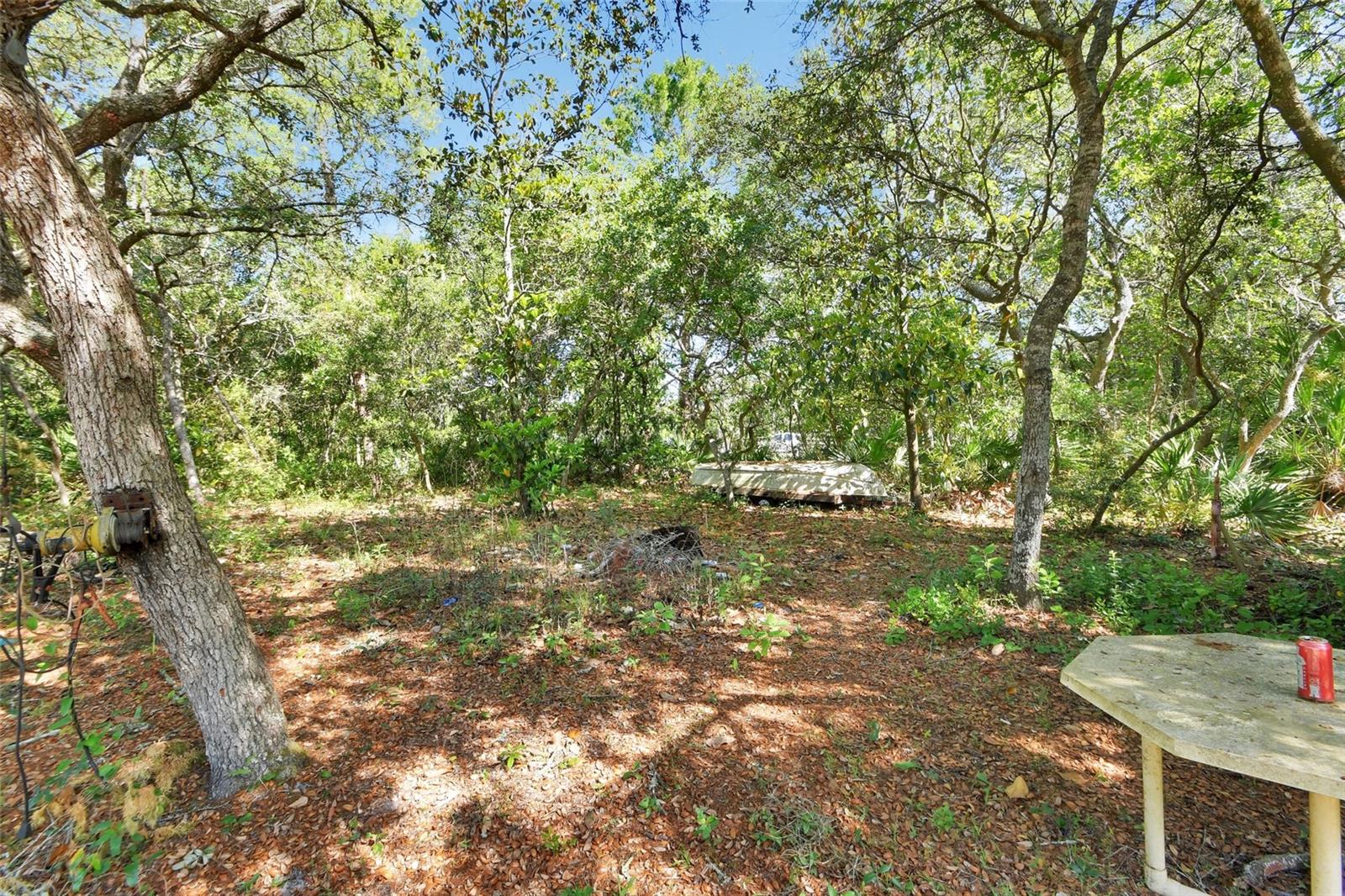 45742 OHIO ST, PAISLEY, FL, 32767