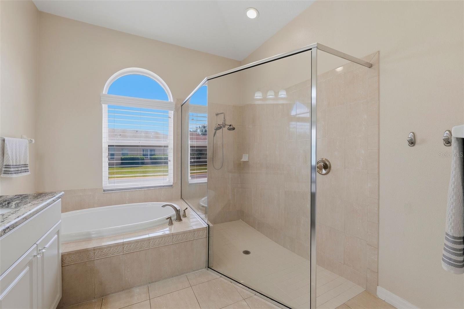 2120 FLAMEFLOWER CT, TRINITY, FL, 34655