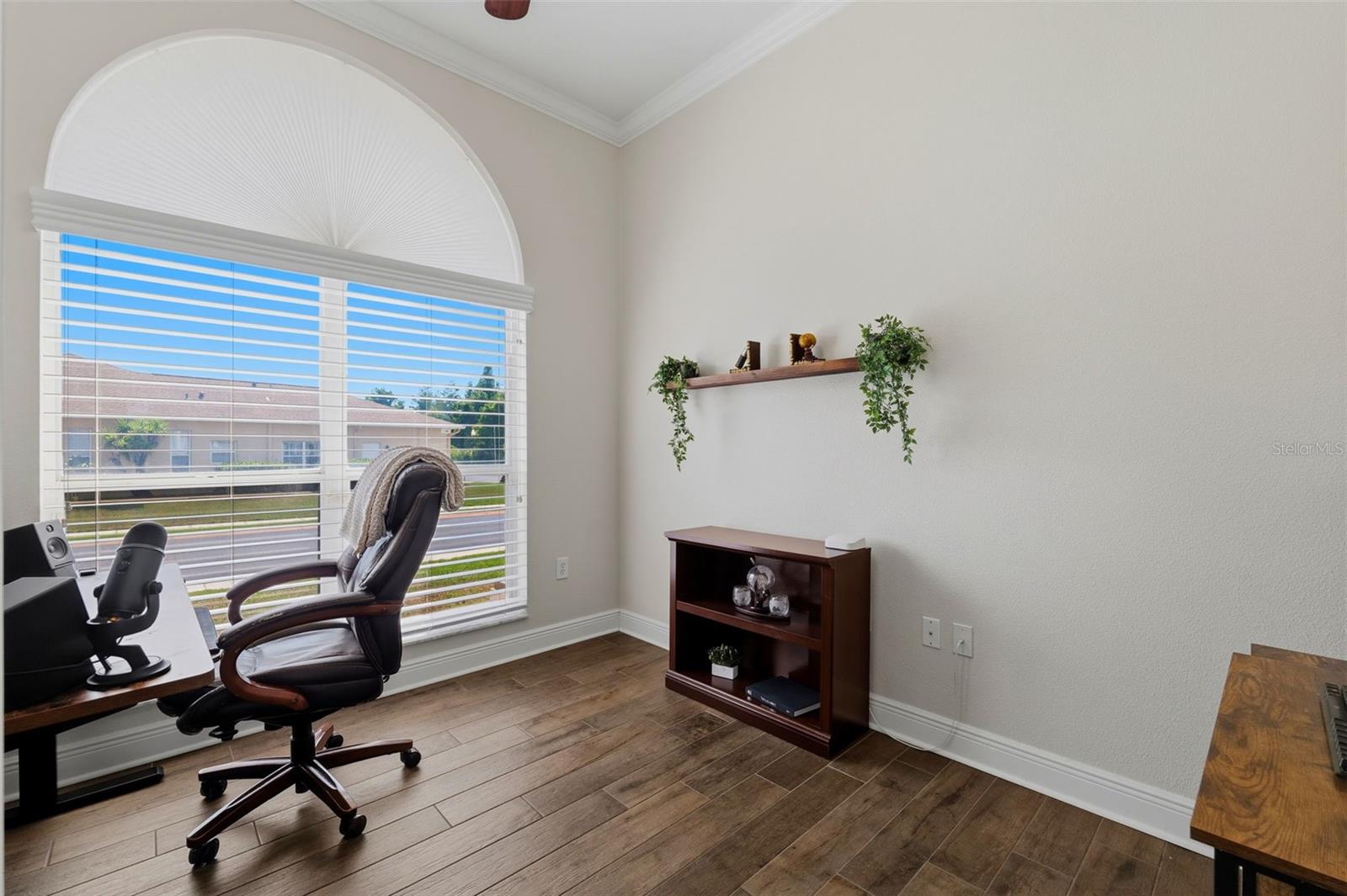 2120 FLAMEFLOWER CT, TRINITY, FL, 34655